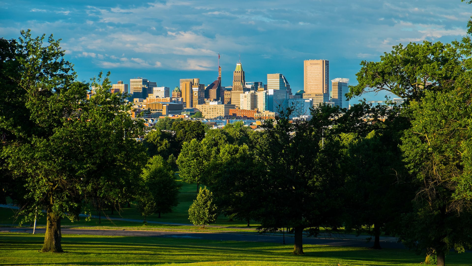 View of lush park with baltimore, maryland cityscape in the distance